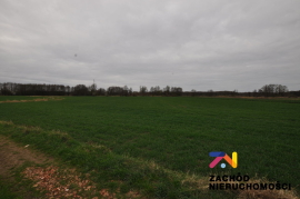 Działka rolna o pow. 6000 m2